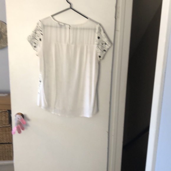 Short sleeved, sweet top - Picture 2 of 2